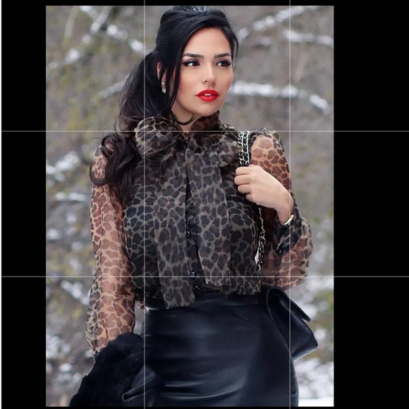 Zara Tops Zara Animal Print Organza Blouse With Tie Poshmark
